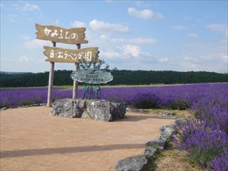 12.トンネルをぬけるとラベンダー発祥の地碑